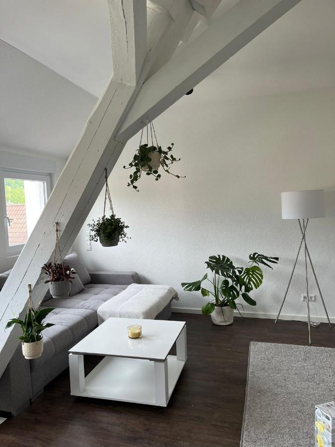 Stauffenberg Apartments 알브쉬타트 외부 사진